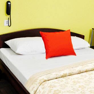 Myhome Homestay, Mysore 5